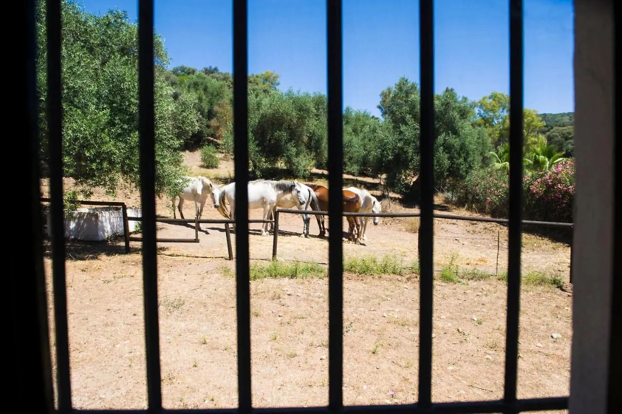 Casa Abanto Villa Ronda Spain