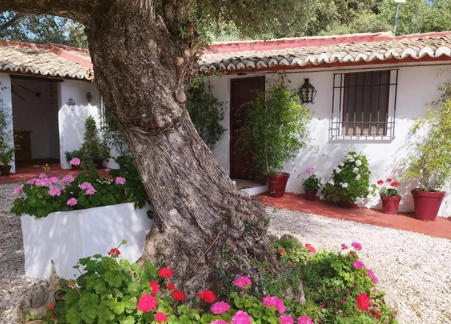 Holiday home Casa Abanto Villa Ronda